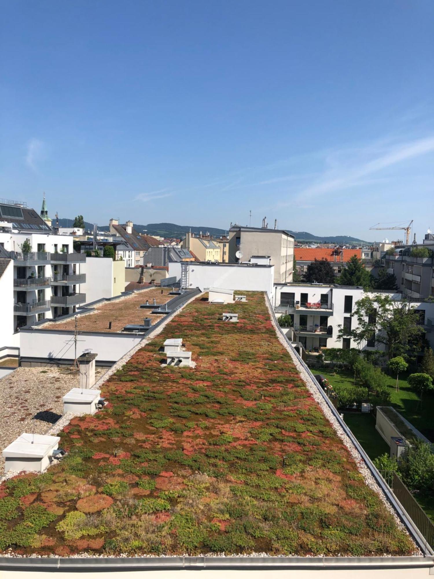 Vienna Sunny Side Up Apartments Eksteriør bilde
